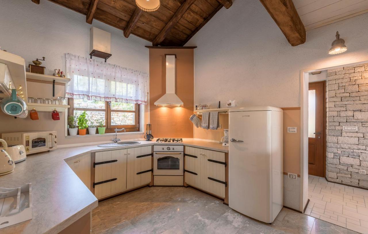 פאזין Family Villa Lipica With Private Pool And Jacuzzi מראה חיצוני תמונה
